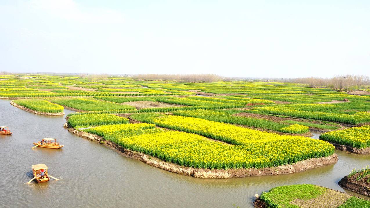 网红商城